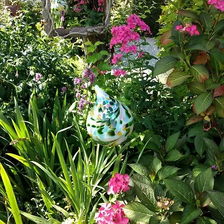 Guest house Le Seringat